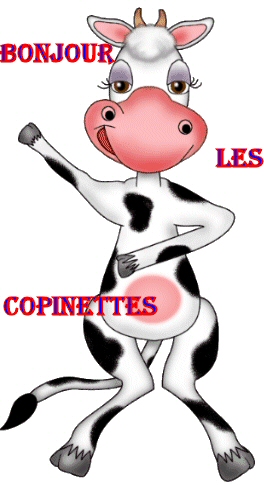 salut les copines